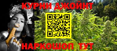 гидра Беслан