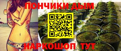 спиды Бийск