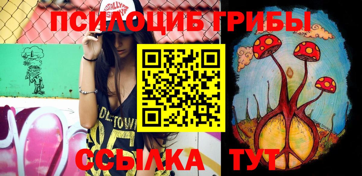 Кинель  Псилоцибиновые грибы GOLDEN TEACHER  Вход с VPN 